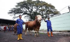 berita-pilihan-foto